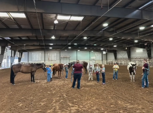 Equestrian-Summer-Camp